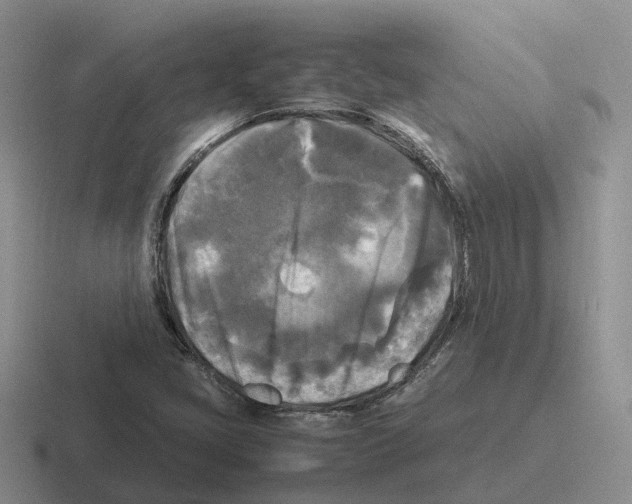 X0000116581405201001071205