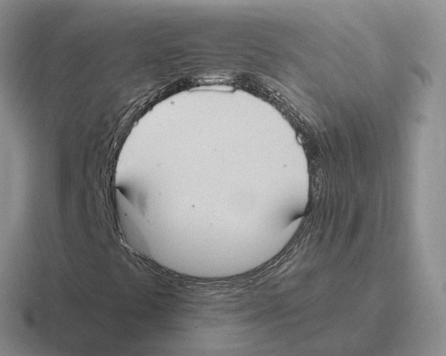 X0000116581441201001071205