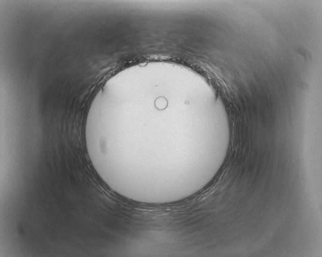 X0000116581444201001071205