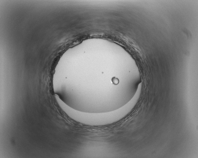 X0000116581445201001071205