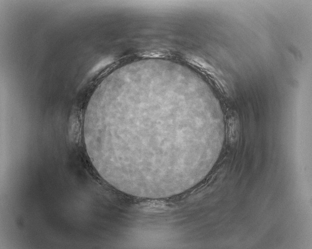 X0000116581446201001071205