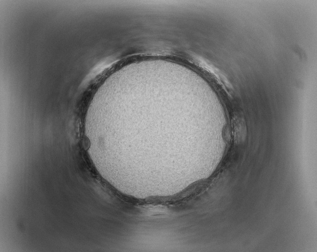 X0000116581448201001071205