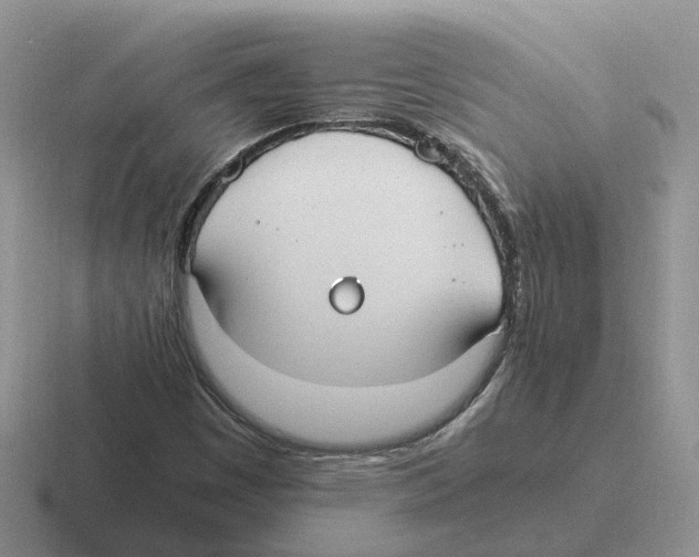 X0000116581449201001071205