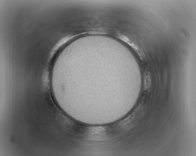 X0000116581454201001071205