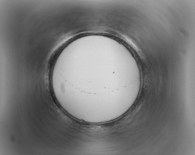X0000116581456201001071205
