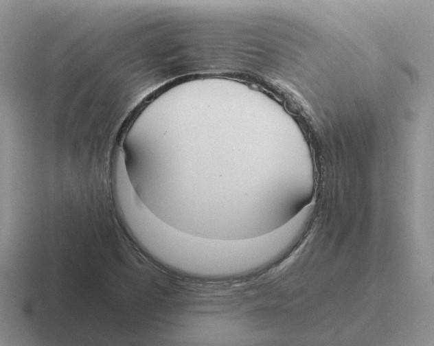 X0000116581457201001071205