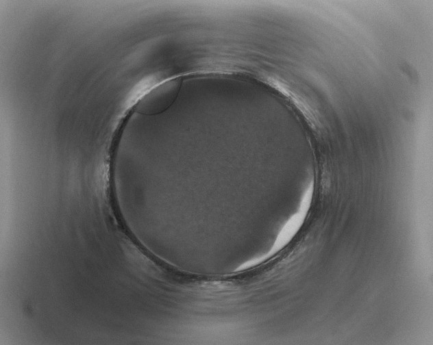 X0000116581459201001071205