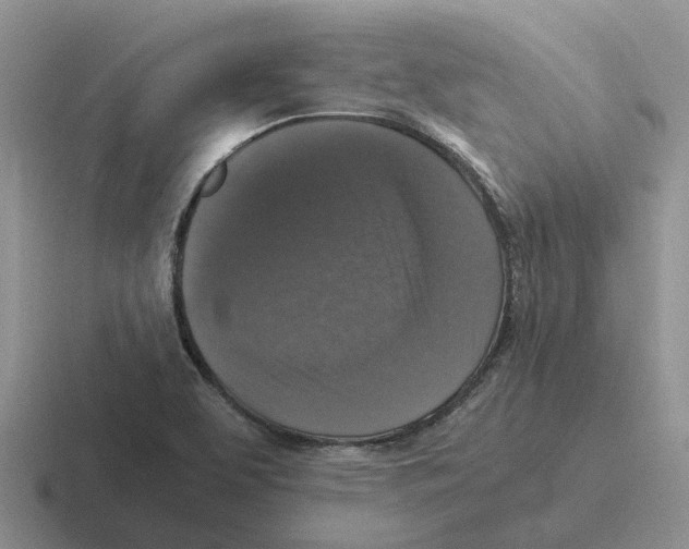 X0000116581463201001071204