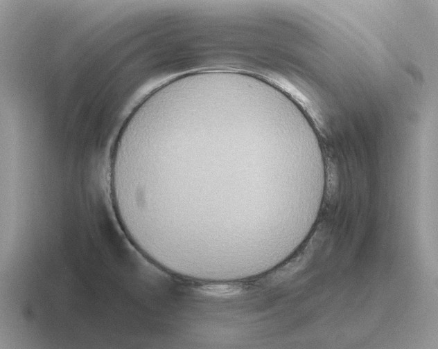 X0000116581478201001071204
