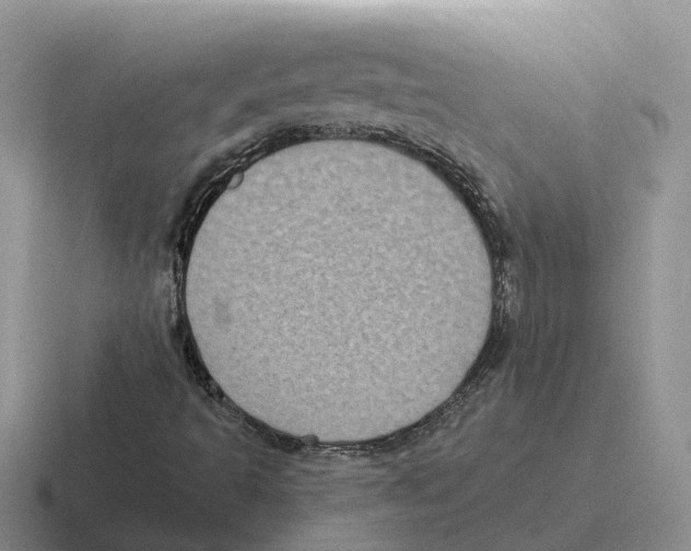 X0000116581493201001071204