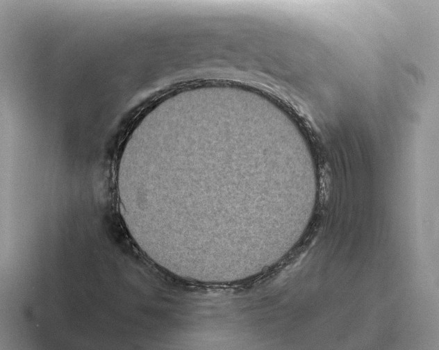 X0000116581494201001071204