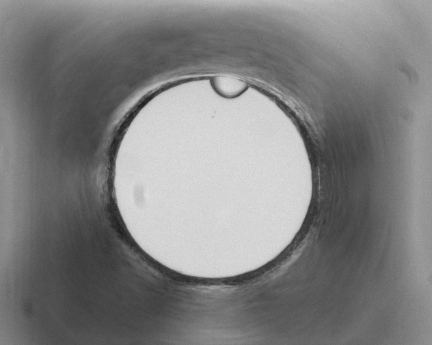 X0000116581502201001071204