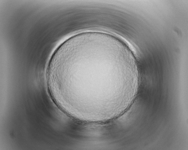 X0000116581514201001071204