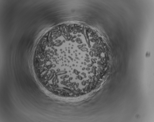 X0000116580001201001211314