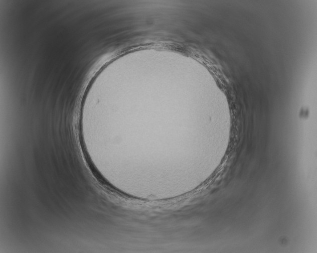 X0000116580003201001211314