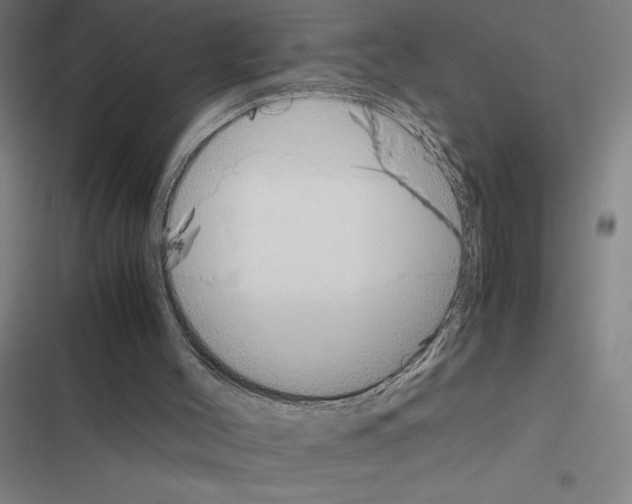 X0000116580004201001211314