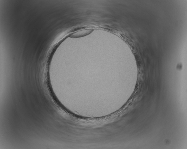X0000116580005201001211314