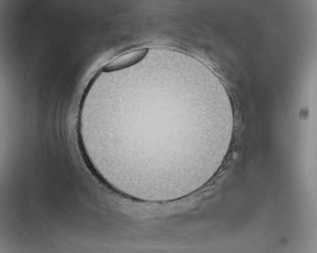X0000116580007201001211314