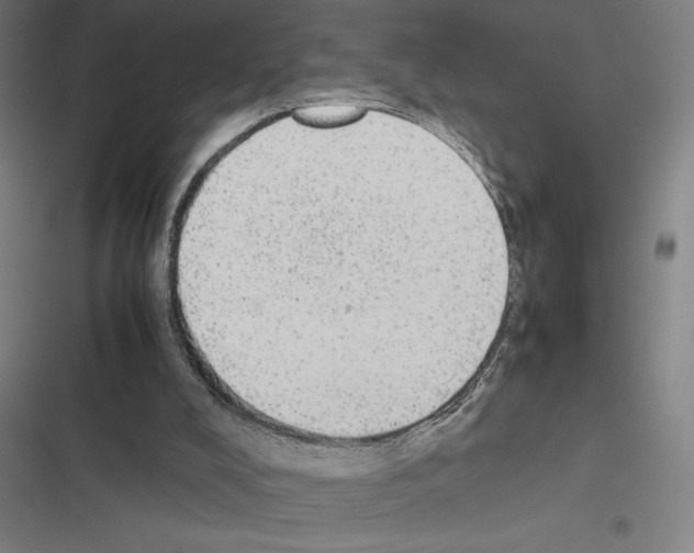 X0000116580008201001211314