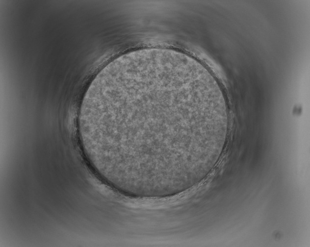 X0000116580009201001211314