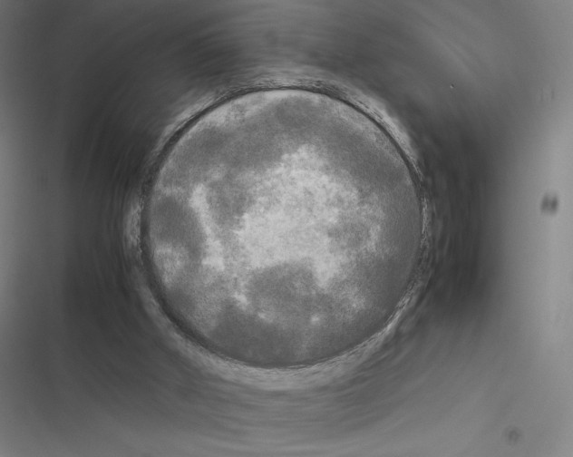 X0000116580010201001211314