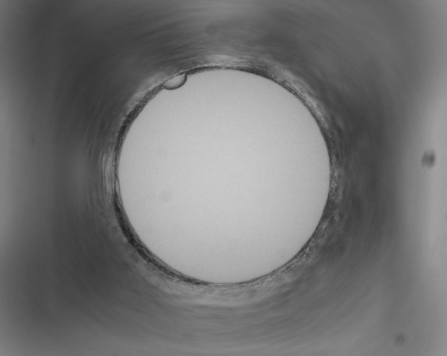 X0000116580011201001211314