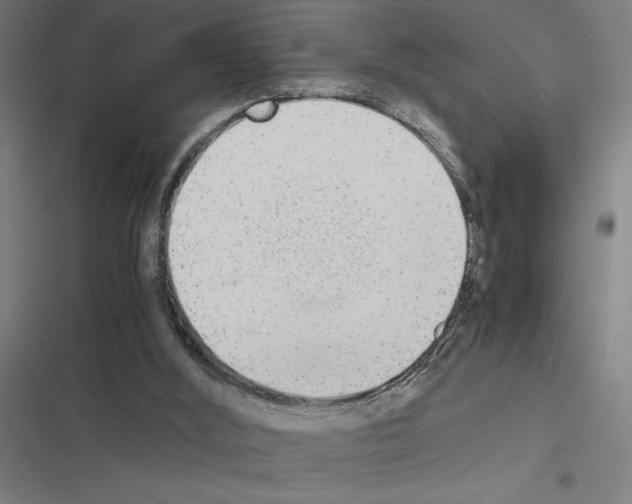 X0000116580012201001211314