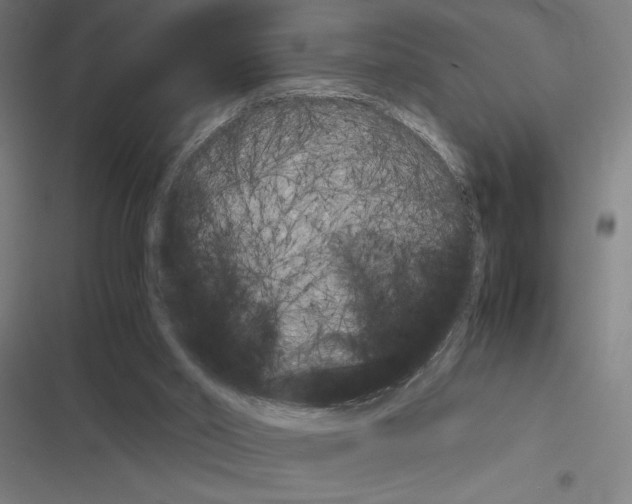 X0000116580014201001211314