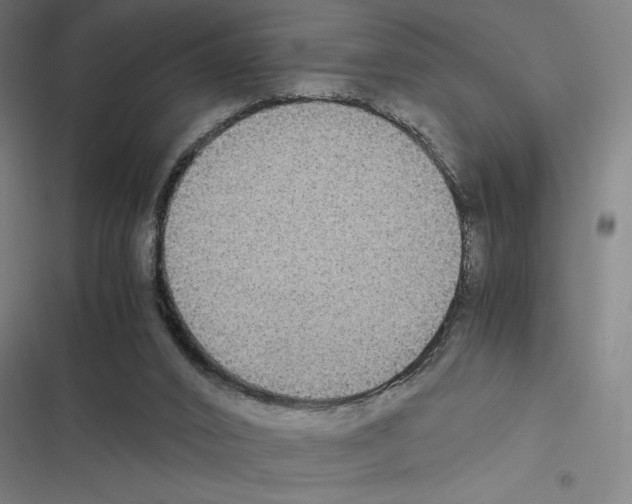 X0000116580016201001211314