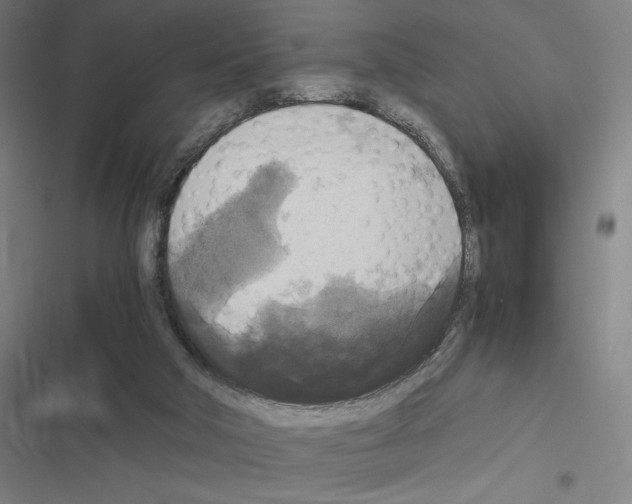 X0000116580018201001211314