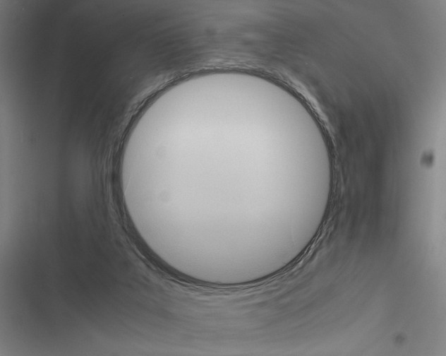 X0000116580019201001211314