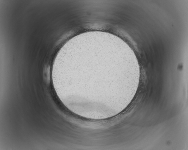X0000116580020201001211314