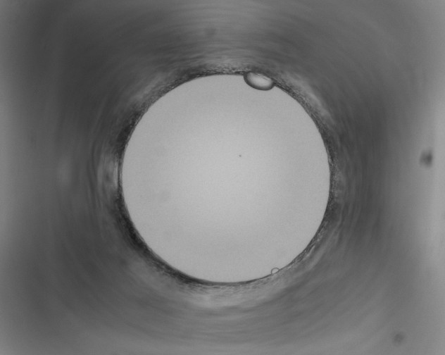X0000116580021201001211314