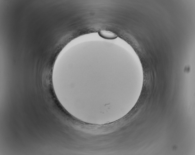 X0000116580023201001211314