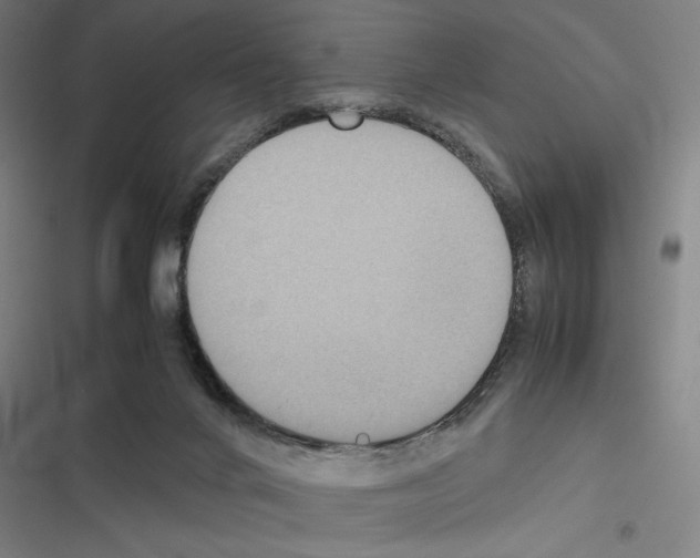 X0000116580024201001211314