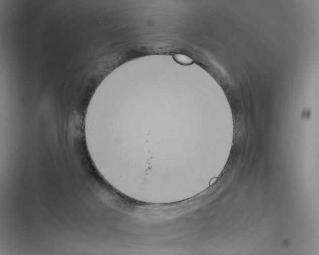 X0000116580025201001211314