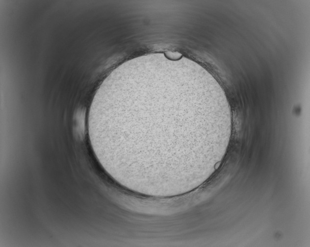 X0000116580028201001211314