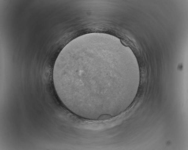 X0000116580029201001211314