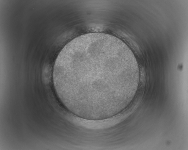 X0000116580030201001211314