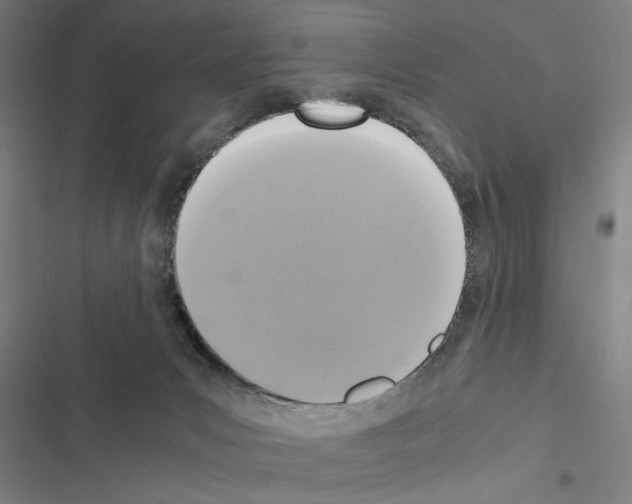 X0000116580031201001211314