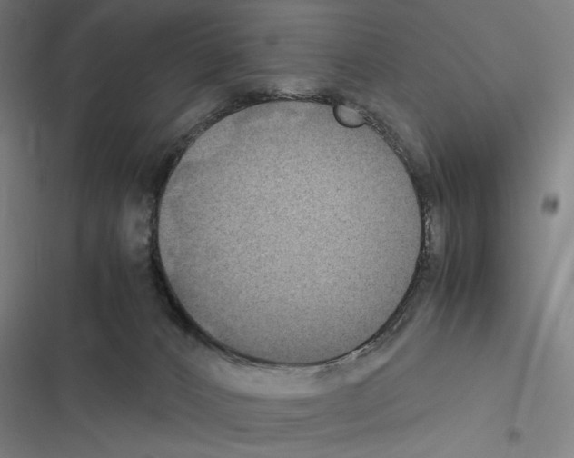 X0000116580032201001211314