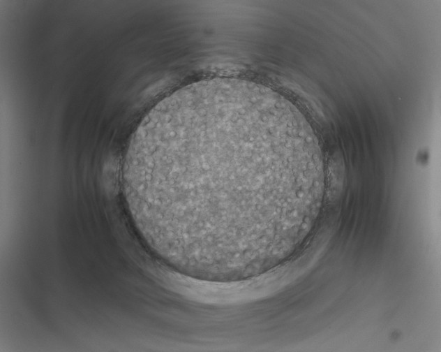 X0000116580034201001211314