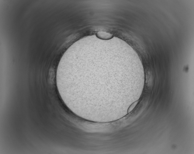 X0000116580036201001211314