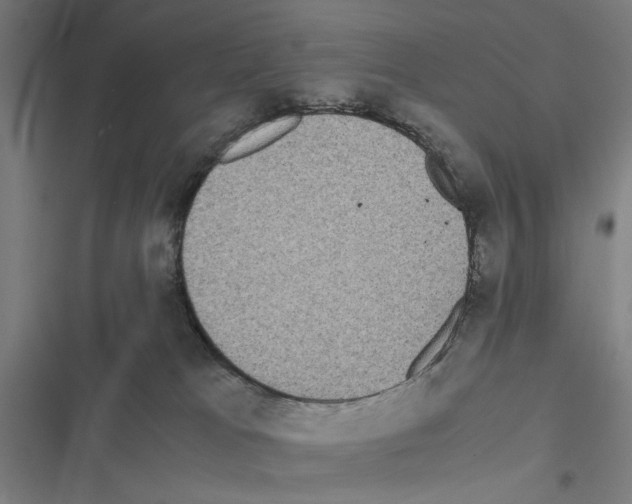 X0000116580037201001211314