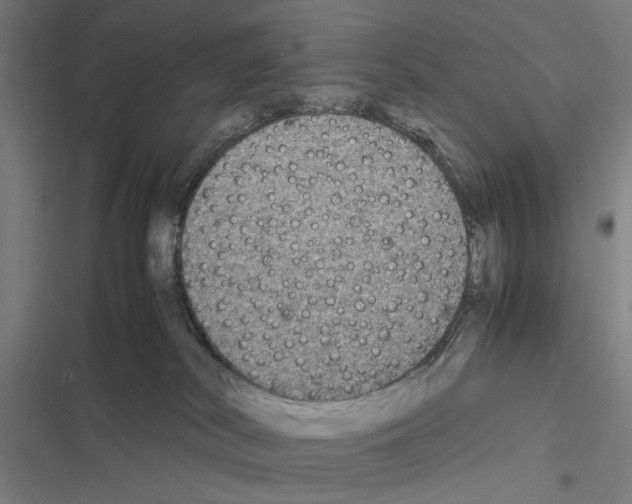 X0000116580038201001211314