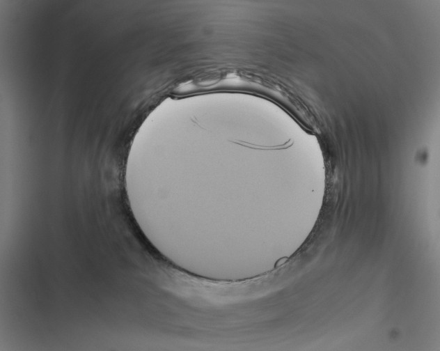 X0000116580039201001211314