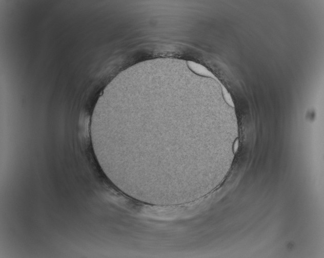 X0000116580041201001211314