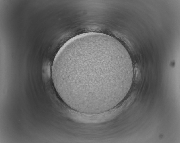 X0000116580042201001211314