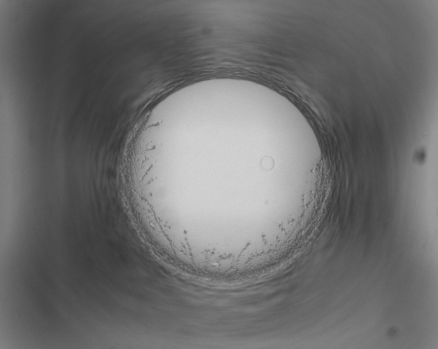X0000116580043201001211314