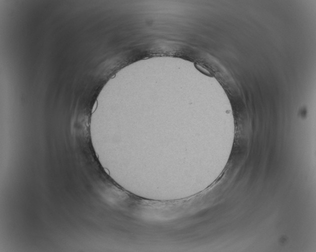 X0000116580045201001211314